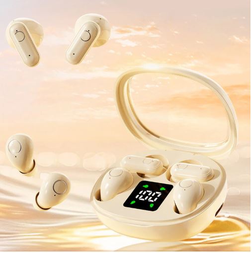 Dual Earbuds with LED Case