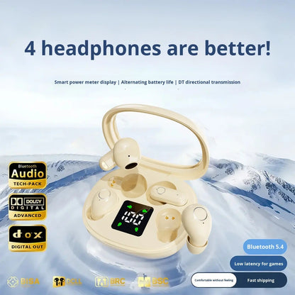 Dual Earbuds with LED Case